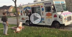 This Dog Waits In Line For Ice Cream